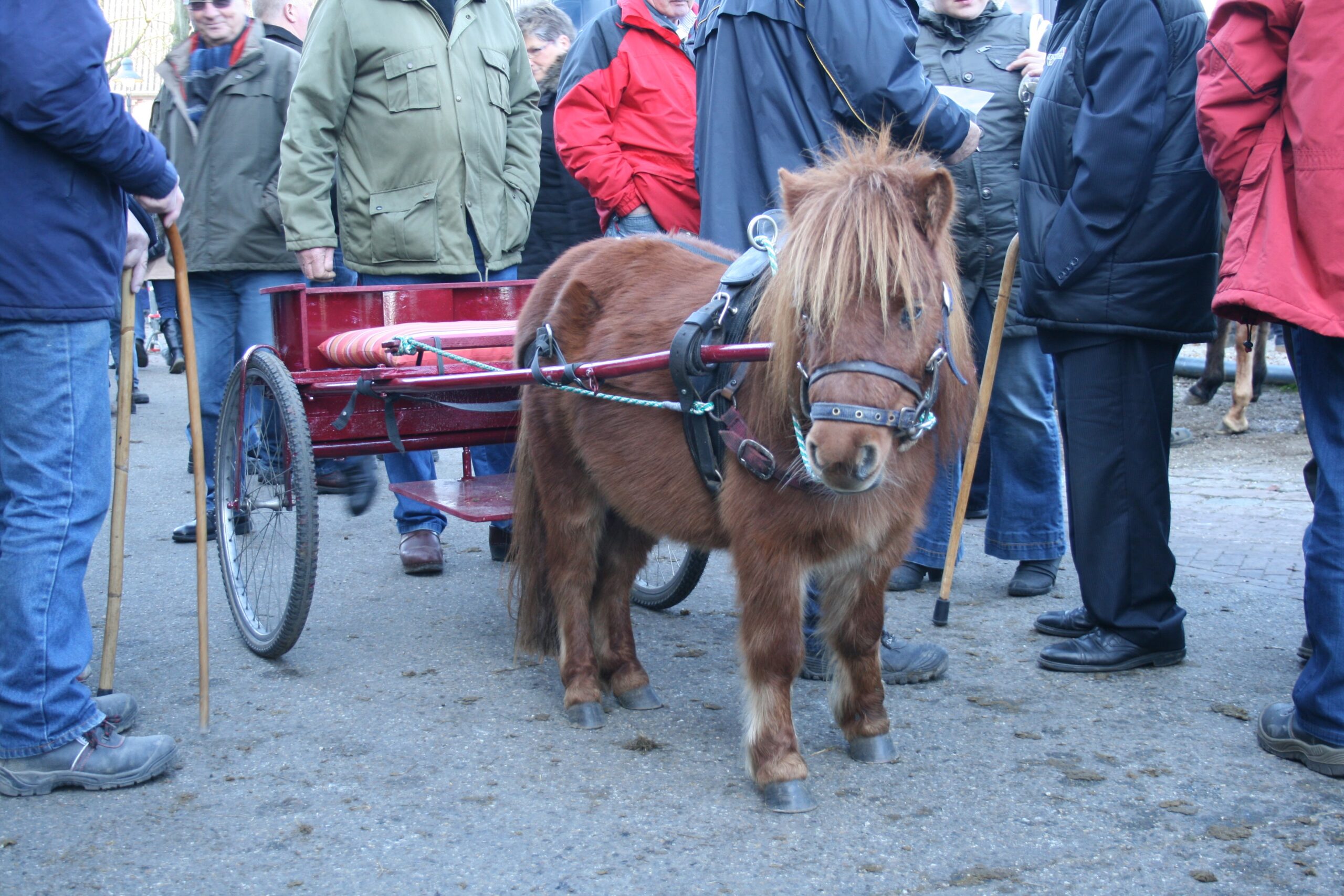 Afbeelding 154