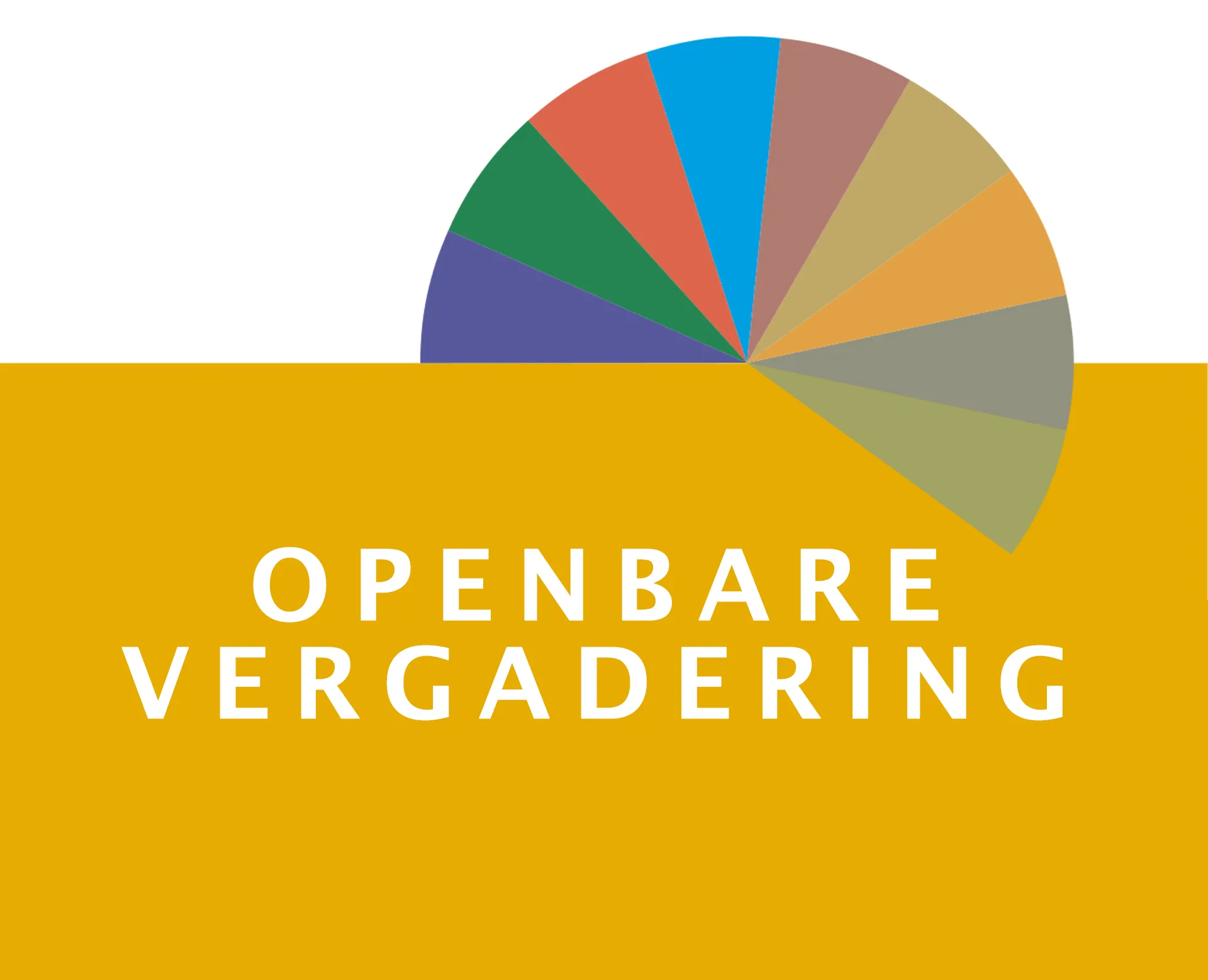Openbare vergadering